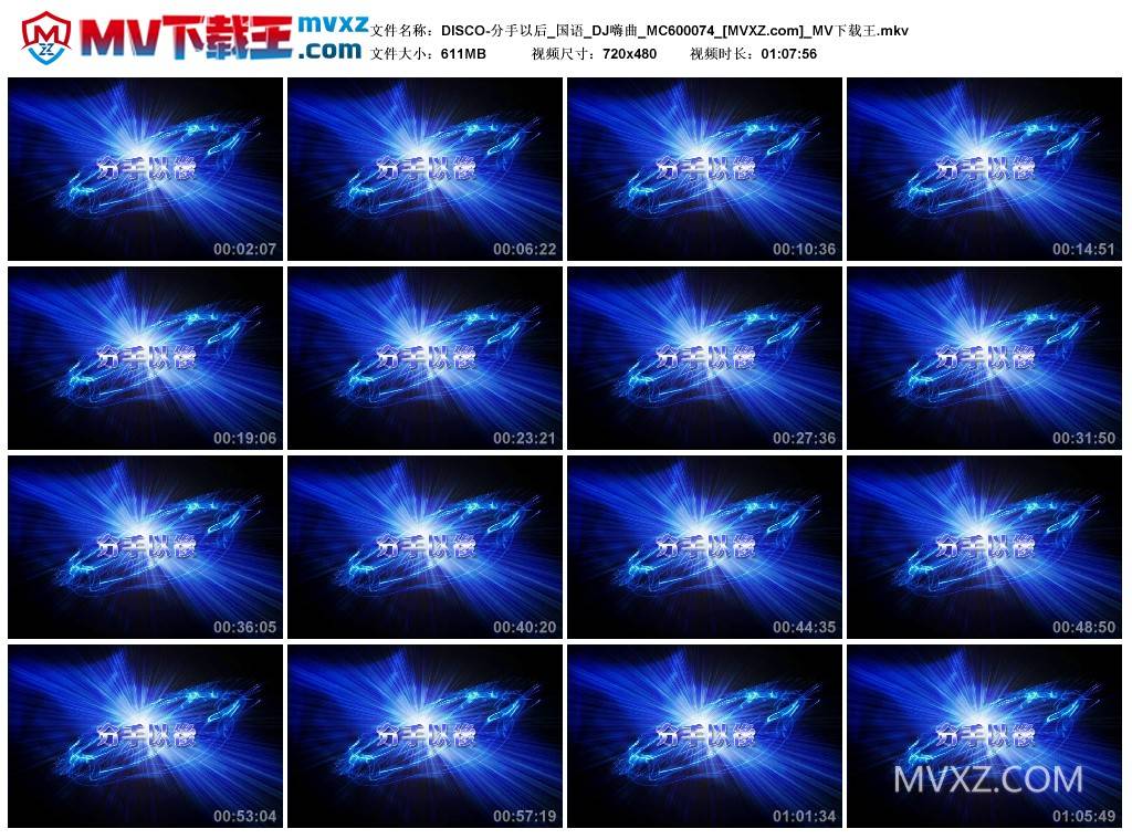 DISCO-分手以后_国语_DJ嗨曲_MC600074
